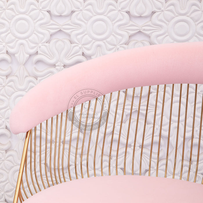 EUTERPE Pink Chair