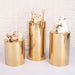 DRUM Stainless Steel Gold Mirror Cylinder Stands